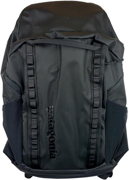 The Best Travel Backpacks for Carry-On: Patagonia Black Hole 25L